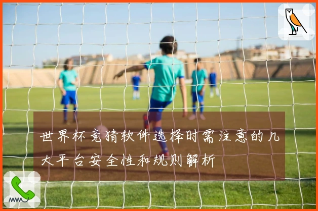 世界杯竞猜软件选择时需注意的几大平台安全性和规则解析