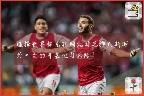 选择世界杯竞猜网站时怎样判断海外平台的可靠性与风险？