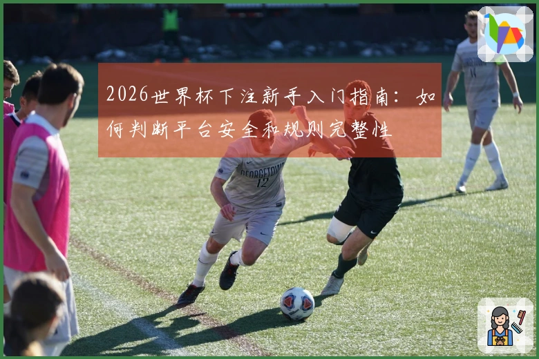 2026世界杯下注新手入门指南：如何判断平台安全和规则完整性