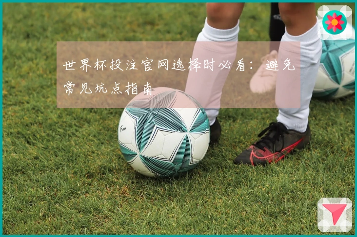 世界杯投注官网选择时必看：避免常见坑点指南