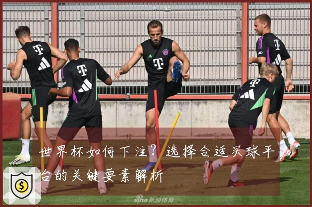 世界杯如何下注？选择合适买球平台的关键要素解析