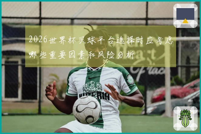 2026世界杯买球平台选择时应考虑哪些重要因素和风险分析