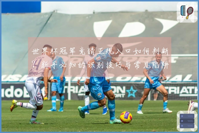 世界杯冠军竞猜正规入口如何判断？新手必知的识别技巧与常见陷阱