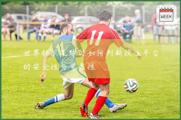 世界杯买足球时如何判断投注平台的安全性与可靠性
