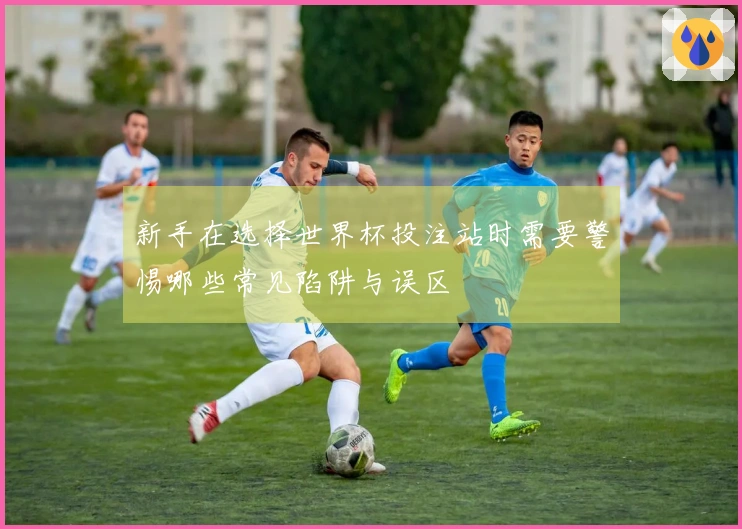 新手在选择世界杯投注站时需要警惕哪些常见陷阱与误区