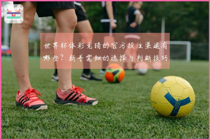 世界杯体彩竞猜的官方投注渠道有哪些？新手需知的选择与判断技巧