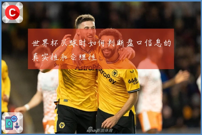 世界杯买球时如何判断盘口信息的真实性和合理性