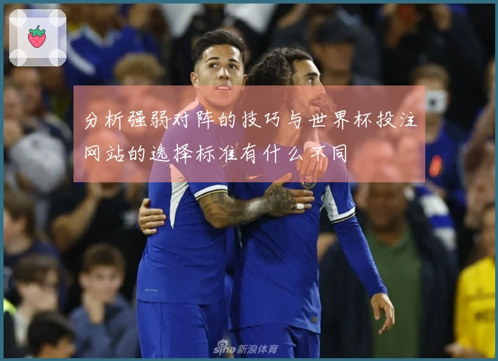 分析强弱对阵的技巧与世界杯投注网站的选择标准有什么不同