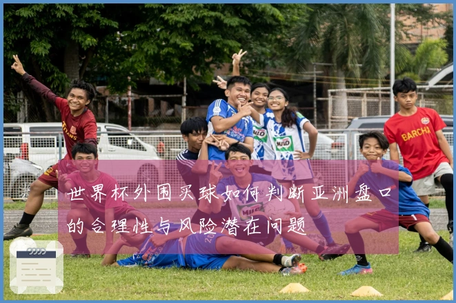 世界杯外围买球如何判断亚洲盘口的合理性与风险潜在问题
