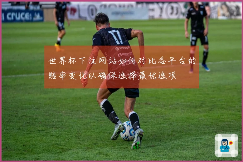 世界杯下注网站如何对比各平台的赔率变化以确保选择最优选项