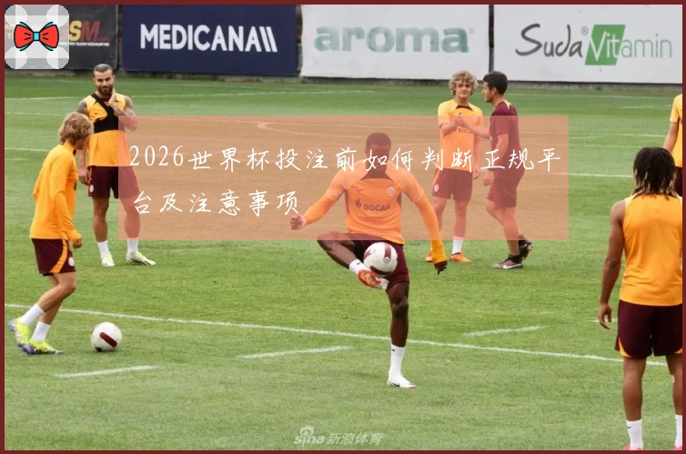 2026世界杯投注前如何判断正规平台及注意事项