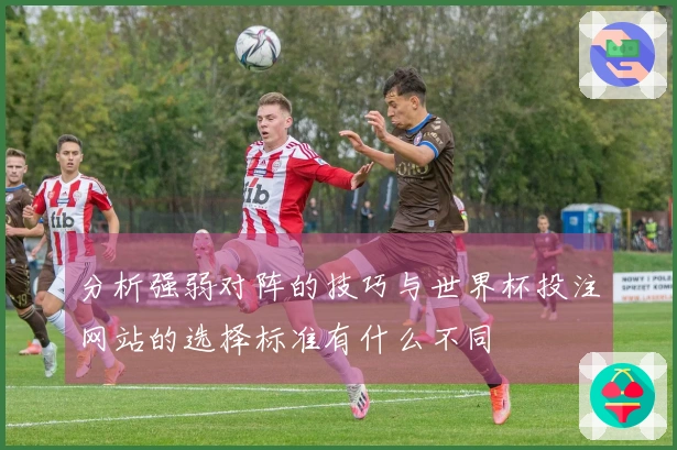 分析强弱对阵的技巧与世界杯投注网站的选择标准有什么不同
